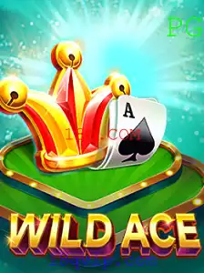 Descubra WildAce: Um Novo Jogo Empolgante e Dinâmico